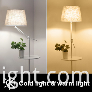 cold light & warm light smart bulb